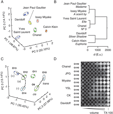 Compatibility with complex matrices, enantiodiscrimination, discrimination of cis–trans isomers and high-throughput formats. (A) PCA score plot and (B) HCA dendrogram for arbitrarily selected perfumes. See Fig. 2 and ref. 35 for details. (C) Focused PCA score plot to corroborate detectability of enantiomers (O12–O14) and cis–trans isomers (O9–O10, dotted lines; from global PCA in Fig. 2D). Data points in (A) and (C) are from three independent experiments per analyte, determining experimental error, see Tables S2, S3). (D) Fluorescent image of multiwell plate. See ref. 35 for experimental details.