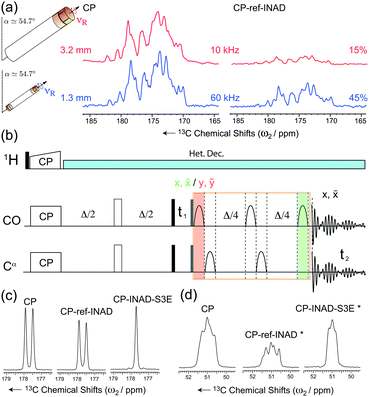 (a) Efficiency of the DQ-INADEQUATE experiment (right) as compared to CP (left) for microcrystalline GB1 at νR = 10 kHz MAS (80 kHz SPINAL-6440) and νR = 60 kHz MAS (15 kHz slpTPPM41). Percentages refer to relative peak heights. (b) Pulse sequence for the band-selective refocused INADEQUATE-S3E experiment. The bell shapes represent the band-selective π pulses and the delay Δ/4 is set to 1/8J. For each t1 increment, two FIDs are recorded, with a CO selective π pulse placed either at the end (in green) or at the beginning (in red) of the refocusing block, together with a suitable phase cycle of the second π/2 hard pulse (grey rectangle) and the receiver. (c–d) Relative efficiency of CP (left), INADEQUATE (center), and INADEQUATE-S3E (right) recorded on CO (c) and Cα (d) resonances of fully 13C-labeled l-Alanine, at 60 kHz MAS and low-power slpTPPM (ω1H/2π∼νR/4 = 13.6 kHz according to pulse calibration). The Cα INADEQUATE signals (*) were extracted from selective 2D INADEQUATE experiments, so that only CO magnetization was excited at the CP step.