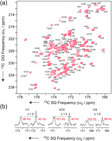 (a) Carbonyl region of a band-selective INADEQUATE-S3E recorded at νR = 60 kHz MAS on dimeric oxidized SOD (see ESI for details). (b) Traces of 2D INADEQUATE spectra acquired using the conventional refocusing period (left) and the S3E block (right). The gains in sensitivity are, respectively, 1.5, 1.4 and 1.6.