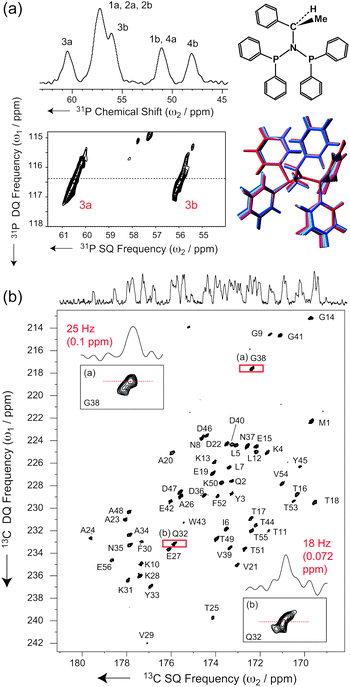 (a) 31P-1H CPMAS and INADEQUATE-S3E spectra of N,N-bis(diphenylphosphino)-N-((S)-α-methylbenzyl)amine recorded at 11.7 T and at a MAS frequency of νR = 60 kHz, under low-power slpTPPM 1H decoupling (ω1H/2π∼νR/4 = 16 kHz according to flip pulse calibration). See ESI for further details. For this disordered molecule, the planar formula is shown, together with a structure bundle generated from low-frequency vibrational modes and compatible with the observed 2D 31P-lineshapes (see ref. 53). (b) Carbonyl region of a band-selective INADEQUATE-S3E spectrum of microcrystalline GB139 recorded at νR = 60 kHz MAS on a 1000 MHz Bruker Avance III spectrometer (see ESI for details).