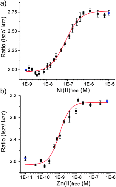 Binding curve of Hpn-FRET to (a) Ni2+ and (b) Zn2+. The fitting curve is shown in red and the blue points represent the minimum (apo-Hpn-FRET) and maximum (Hpn-FRET + 6 equiv. Ni2+ or + 6 equiv. Zn2+) signals, respectively. All measurements were done in triplicates.