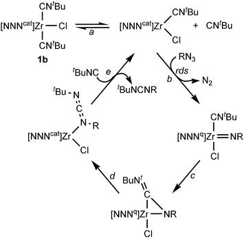 Mechanism for nitrene transfer catalyzed by [NNNcat]ZrCl(CNtBu)2 (1b).