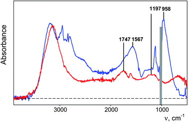 
            IR spectra of 0.4 M H(CHB11Cl11) solutions in water (red, anion absorption is subtracted) and methanol (blue).