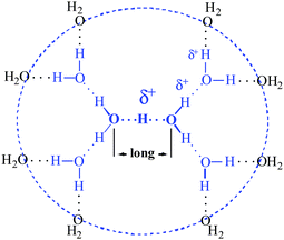 Schematic 2D structure of the H13O6+ ion.