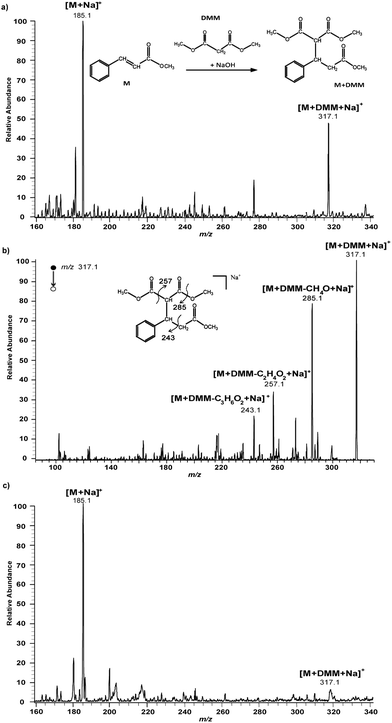 a) Positive ion nanoESI mass spectrum, after blank subtraction, recorded after exposure of 0.15 μg of methyl cinnamate as a solid spot on glass of ca. 2.4 mm diameter to microdroplets containing DMM reagent. Exposure conditions: DMM at 100 ppm in MeOH–water 80 : 20 (v/v) with 200 ppm of sodium hydroxide, incident angle to the horizontal: 90°, flow rate: 5 μL min−1, exposure time: 5 min, tip-to-surface distance: 5 mm, nebulizing gas pressure: 150 psi, high voltage: −3.5 kV. Inset shows the chemical reaction. b) NanoESI-MS/MS spectrum of [M(DMM)+Na]+ product detected at m/z 317 after exposure of methyl cinnamate to microdroplets containing the DMM reagent under the same experimental conditions. c) Positive ion nanoESI mass spectrum of bulk solution. Bulk conditions: 1.5 μL of methyl cinnamate at 100 ppm in MeOH mixed with 25 μL of DMM at 100 ppm in MeOH–water 80 : 20 (v/v) with 200 ppm of sodium hydroxide, reaction time: 5 min, temperature: 25 °C.