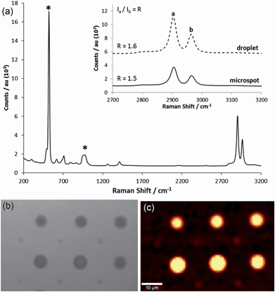 (a) Raman spectrum of PDMS spot cured onto the silicon dioxide substrate. Raman bands originating from the silicon substrate are marked with a star. Inset: Comparison of the relative intensity of the Raman bands found in the methyl stretch region for the PDMS drop and microspot. (b) Bright-field image of PDMS structures deposited by DPN using alternating dwell times of 0.25 and 0.1 s and (c) Raman map (CH3 stretch region) of the same alternating features.