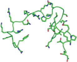 Molecular schematic of HIV-1tatpeptide. This representation is the 30-mer, containing amino acids Tyr-47 to Gln-76. The PDB coordinates, showing the backbone and residues, are obtained from 1JFW.38