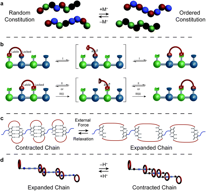 Triggered structural changes within single polymer chains. (a) A dynamic library of exchanging monomers in the form of statistical dynamers are induced to change their constitution, forming ordered dynamers.14 (b) A four base pair synthetic linear motor in which a walker is powered along a track using two orthogonal triggers represented by three distinct inputs (acid, base, neutral).21 (c) Single chains contracted through strong quadruple hydrogen bonding are forced to reversibly expand in response to external force.23 (d) Doubly-threaded rotaxane daisy chain polymers may be induced to expand and contract on demand in response to pH changes.25,26 Reproduced in part with permissions from the Nature Publishing Group.21