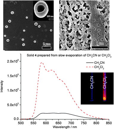 Upper: SEM images of complex 4 prepared from slow evaporation of CH3CN (left) and CH2Cl2 solution (right). Bottom: Emission spectra of solid 4 prepared from slow evaporation of CH3CN and CH2Cl2 (Inset: Photograph of different solid 4 under 350 nm UV light irradiation).