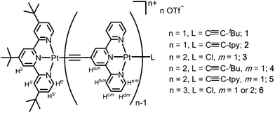 
          Platinum(ii) complexes 1–6 studied in this work and the labelling scheme of aryl protons of the terpyridyl ligands with m = 1, 2 standing for the 1st and 2nd sets of acetylide terpyridyl, respectively.