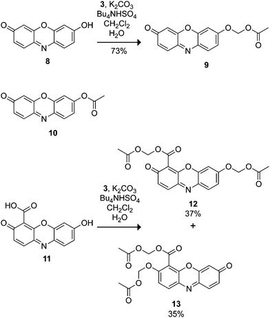 
            Resorufin-based profluorophores.