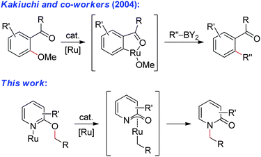 Proposed sp3 C–O bond activation strategy for N-alkylated heterocycle synthesis.