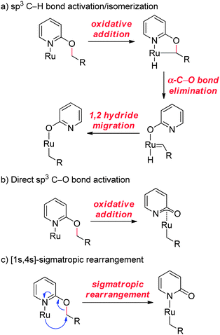 Proposed mechanisms for sp3 C–O bond activation (see text for discussion).