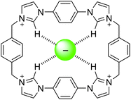 Hydrogen bond mediated anion coordination by 1.