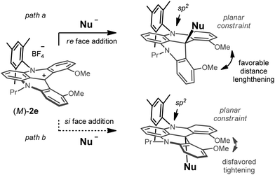 Geometrical constraint on the planar sp2N-Aryl atom and its surrounding aromatic groups as a possible origin for the diastereoselectivity. Path a: favored re face addition on (M)-2e (R1= mesityl). Path b: disfavored si face attack.