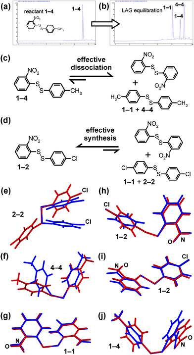 (a) HPLC chromatogram of pure 1–4 (b) HPLC chromatogram of the equilibrium mixture obtained by liquid-assisted grinding of 1–4; (c) the mechanochemical equilibration of solid 1–1, 4–4 and 1–4 favours the dissociation of the heterodimer, in contrast to (d) the system involving solid 1–1, 2–2 and 1–2 which favours heterodimer formation. The comparison of (blue) the calculated lowest-energy gas-phase molecular conformation and (red) the observed conformation in the pure solid for: (e) 2–2 (CCDC code: DCPHDS),22b (f) 4–4; (g) 1–1 (CCDC code: ODNPDS02);18 (h) 1–2 for the new polymorph obtained by neat grinding; (i) 1–2 (CCDC code FUQLIM)18 obtained by LAG and (j) 1–4 (CCDC code: FUQLEI).18 The molecular conformation in solid 2–2 is clearly the most distorted one with respect to the calculated lowest-energy structure.