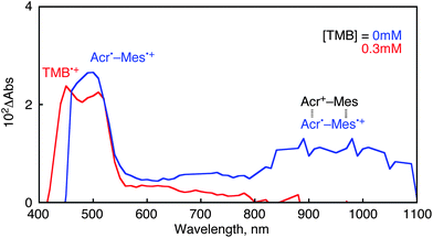 Transient absorption spectra of the ET state of Acr+–Mes (0.2 mM) in the absence and presence of TMB (0.3 mM) in deaerated MeCN after nanosecond laser excitation at 430 nm.