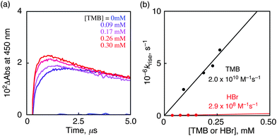 (a) Transient absorbance time profiles at 450 nm due to TMB˙+ for electron transfer from TMB (0–0.30 mM) to Acr˙–Mes˙+ in MeCN after nanosecond laser flash photolysis (λex = 430 nm); (b) plot of kriseversus [TMB] or [HBr] for the reaction of Acr˙–Mes˙+ with TMB or HBr.