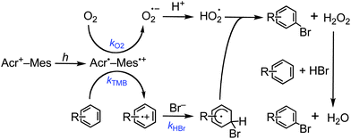 Proposed photocatalytic reaction mechanism.