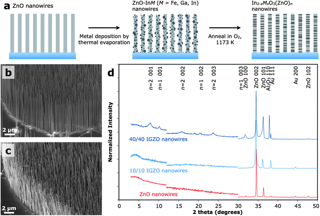 Materials synthesis. (a) Schematic illustration of the synthetic method. (b and c) Scanning electron microscope images of arrays of the as-grown ZnO nanowires (b) and IGZO nanowires prepared with 5/5 nm In/Ga deposition (c). (d) XRD patterns (Cu-Kα irradiation) of ZnO nanowires (bottom) and IGZO nanowires prepared with 10/10 (middle) and 40/40 nm (top) of In and Ga metals. The y-axis was enlarged 5× to highlight low-intensity peaks in the 12–30° region. Longer acquisition times were required below 12° for better signal to noise and thus were normalized separately from the rest of the pattern.