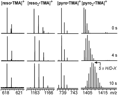 H/D-exchange mass spectra of the reso and pyro monomers and dimers with TMA+ as the guest cation.