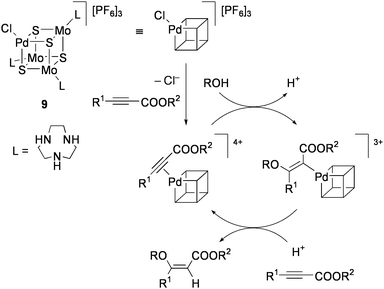 Proposed mechanism for stereoselective addition of alcohol to electron-deficient alkyne.