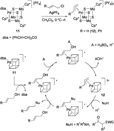Proposed mechanism for the direct amination of allyl alcohol catalyzed by 11.