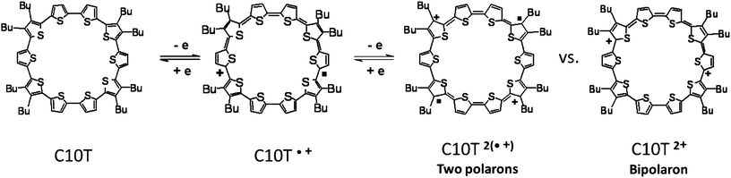 Electronic structure description of neutral C10T, of radical cationic C10T·+ and of the two dicationic species: radical cation pair C10T2(·+) (polaron-pair) and dication C10T2+ (bipolaron).
