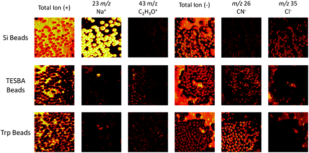 Glass beads, prior to modification and following steps (1) and (2), were analyzed using a TOF-SIMS instrument equipped with a 22 keV Au ion source. The images shown here are 500 × 500 μm. The reactions were monitored in positive ion mode by the disappearance of the sodium signal (m/z 23) occurring after the first reaction. There is a single visible bead in the TESBA bead image that was not successfully modified as shown by the remaining sodium signal from its surface. Additionally, a common signal observed from the biological species C2H3O+ (m/z 43), a fragment that arises from the reagents and not the unmodified beads, can be used to monitor the reaction progress. The reactions were also monitored in negative ion mode. The chlorine signal (m/z 35) disappeared after the first reaction, similar to the sodium signal. The CN− (m/z 26) signal is a characteristic signal from proteins having a large number of nitrogen-carbon bonds, and can be used to monitor formation of the protein coating on the bead surface of the trypsin (Trp)-modified beads.