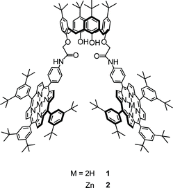 Structures of molecules used for this study.