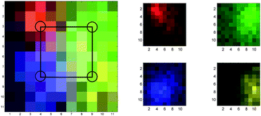 False colour images of the SERS NP signals, measured in a 11 × 11 grid, pixel size 2 mm. Left image shows all signals plotted together (with pixel colour mix showing combined signals) with the approximate injection points marked, right image shows each ‘flavour’ separately. Red is x403, green is x420, blue is x421, yellow is x440.