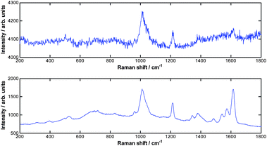 Raw spectra of NP flavour x403 with 3 × 1010 particles in 50 μL for 47 mm (range 45–50 mm) × 50 × 50 mm tissue block (top frame) and 1.8 × 109 particles in 3 μL for 20 mm thick × 50 × 50 mm tissue block (bottom frame).