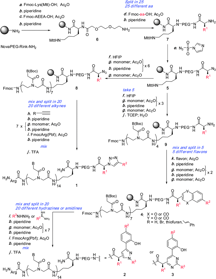 Diversity-oriented synthesis of heterocyclic libraries 1, 2, 3 appended at the C-terminus of the PNA.