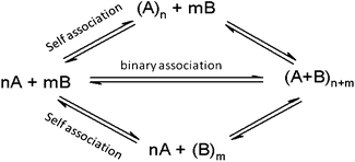 Aggregation equilibria involving a binary surfactant system.
