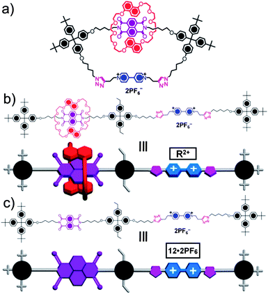 Structural formulas of (a) a [2]catenane, (b) the [2]rotaxaneR·2PF6 and (c) the dumbbell 12·2PF6 and their graphical representations.