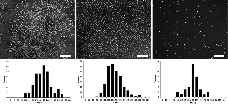 
          TEM data for (from left to right) enantiomeric (5 and 6) and racemic (7) assemblies formed by self assembly at 65 °C. Scale bar = 500 nm.