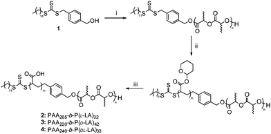 Preparation of copolymers2–4. Conditions: i) Lactide, 1-(3,5-bis(trifluoromethyl)phenyl)-3-cyclohexyl-thiourea, (-)-sparteine, CH2Cl2; ii) AIBN, CHCl3, THP-acrylate; iii) AcOH, THF–H2O at 65 °C.