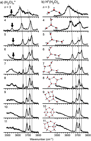(a) IR spectra of (H2O)n+ (n = 3–11) in the free OH stretch region. (b) IR spectra and representative structures of H+(H2O)n. Dotted curves show each series of bands as assigned in ref. 94. The bands indicated by arrows are the free stretch of the OH radical moiety.