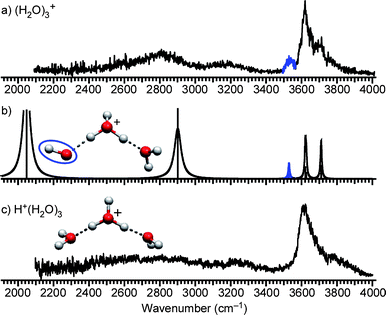 (a) IR spectrum of (H2O)3+. The band highlighted in blue is the free stretch of the OH radical moiety. (b) Calculated cluster structure and corresponding IR spectrum at the MPW1K/6-311++G(3df,2p) level. The OH radical moiety is circled. (c) IR spectrum and structure of H+(H2O)3.