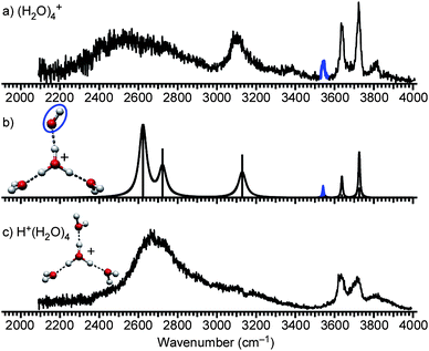 (a) IR spectrum of (H2O)4+. The band highlighted in blue is the free stretch of the OH radical moiety. (b) Calculated cluster structure and corresponding IR spectrum at the MPW1K/6-311++G(3df,2p) level. The OH radical moiety is circled. (c) IR spectrum and structure of H+(H2O)4.