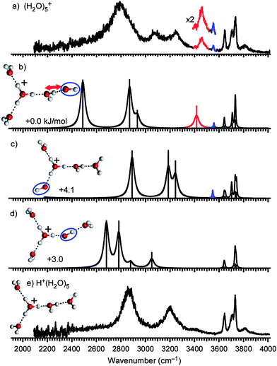 (a) IR spectrum of (H2O)5+. The band highlighted in blue is the free stretch of the OH radical moiety. The red band is the marker of a H-bond from H2O to ·OH (see text). (b–d) Calculated cluster structures and corresponding IR spectra at the MPW1K/6-311++G(3df,2p) level. The OH radical moiety is circled. (e) IR spectrum and structure of H+(H2O)5.