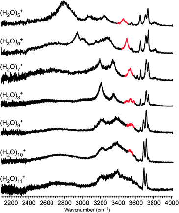 
            IR spectra of (H2O)5−11+ in the 2100–4000 cm−1 region. The red band is the marker of a H-bond from H2O to ·OH.