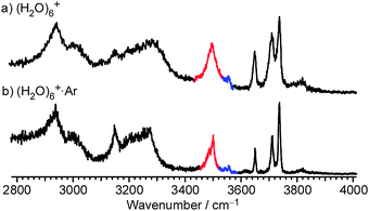 Comparison of IR spectra obtained with and without argon-tagging. (a) IR spectrum of (H2O)6+·Ar (colder). (b) IR spectrum of (H2O)6+.