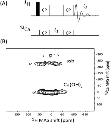 (A) Pulse sequence for a 2D 1H-detected cross-polarization experiment. (B) The 2D CP spectrum was recorded with a singly-tuned 1H MACS coil for optimal 1H (inverse) detection, and 43Ca-excitation was obtained using the standard coil of the MAS probe. A 1H π/2-pulse of 3.25 μs with 10 W of input power was used. The CP experiment was performed under νrf(1H) ∼ 72 kHz and νrf(43Ca) ∼ 4 kHz with 5 ms contact periods. The 2D spectrum was recorded with States phase-cycling, 128 t1 increments, 480 scans, and a recycle delay of 5 s. The spectrum displays a Ca–H correlation signal for Ca(OH)2, and its spinning-sideband (ssb).