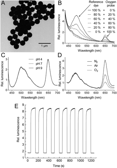 
            (A)
            Transmission electron microscopy reveals a uniform size of RGB PEBBLEs (410–430nm). (B)Fluorescence spectra of oxygen probe and reference dye incorporated at different ratios into polystyrene exposed to air. (C)Fluorescence spectra are insensitive to pH. (D) Spectral response of the RGB PEBBLEs to nitrogen, air, and oxygen. (E) Changes in fluorescence intensity, reversibility and response time of the oxygen probe in the RGB PEBBLEs under cycling between nitrogen and oxygen.