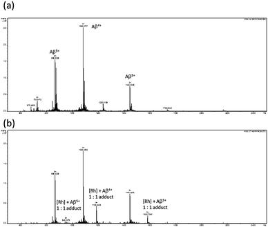 ESI-TOF mass spectra of: (a) Aβ1−40 peptide; and (b) Aβ1−40 peptide incubated in the presence of the rhodium complex 1b.