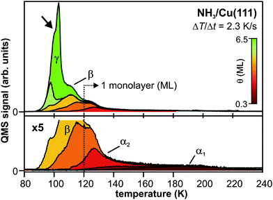 
          Thermal desorption spectra of amorphous NH3/Cu(111). The α1 and α2 feature correspond to the desorption of the first monolayer, which is used as a mass equivalent for coverage determination. β results from the second monolayer, and γ arises from the multilayer desorption. The transition from amorphous to crystalline ammonia is reflected by the kink in the multilayer desorption peak at 100 K (cf. arrow).