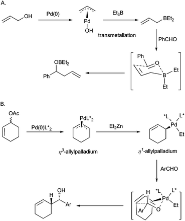 The proposal mechanisms of π-allylpalladium umpolung in the literature. A. Tamaru's transmetallation process. B. Minnaard and Feringa's Et2Zn assistant η3- to η1-allylpalladium transfer process.