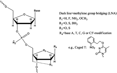 Commonly-used nucleotide modifications in aptamer structures.