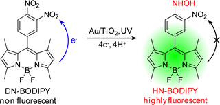 Photocatalytic generation of fluorescent HN-BODIPY from non-fluorescent DN-BODIPY.